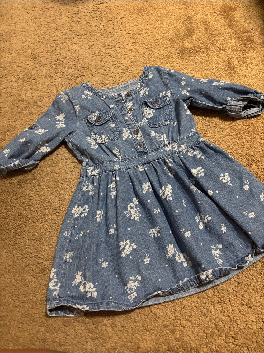 OshKosh B'gosh Blue Floral Denim Button-Front Dress